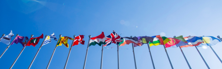 World flags