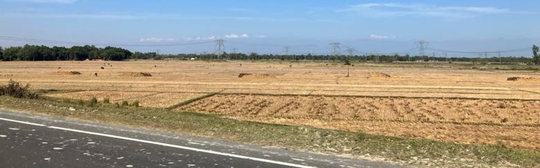 Farmland in North Bengal, where some of the borrowers and their families tilled the land