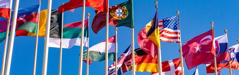 Globe36_Newsletter_15-FC-WorldDiplomacyProgramme