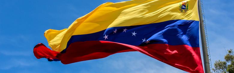 flag of Venezuela