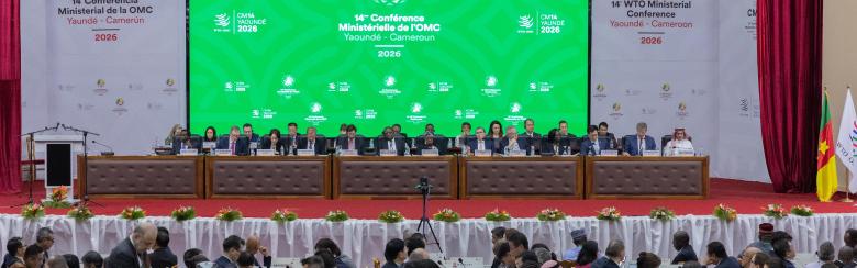 MC14 2026 WTO Image