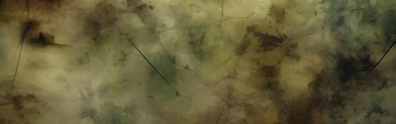 CCDP | Dina Bolokan Project Banner