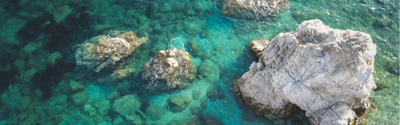 HCGS | Dying Seas Project Page