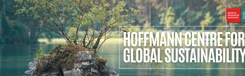 HCGS | Website banner with center name