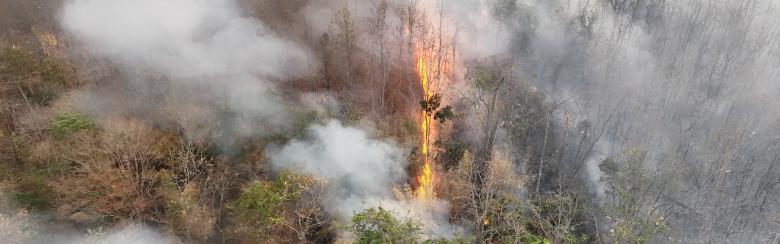 El Nino weather phenomenon causes drought and increases wildfire in Southeast Asia. 