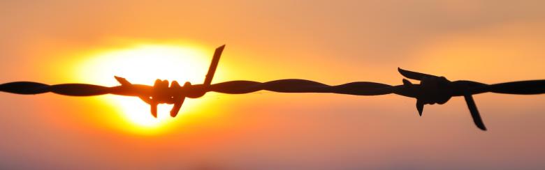 Barbed wire in sunset
