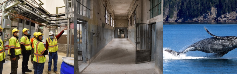 Montage showing 1) inspection team visiting chemical agent-destruction pilot plant; 2) the interior of a prison; 3) a whale breaching