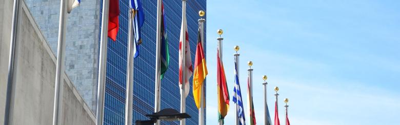 UN flags NYC