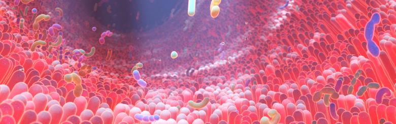 Microbes