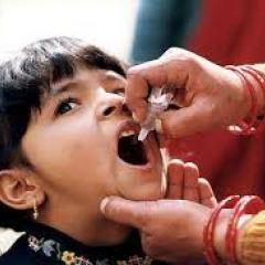 polio vaccine