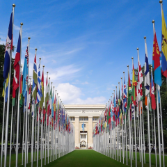 UN75