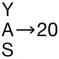 YAS4