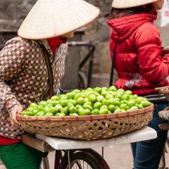 Rethink development policies and practices in Southeast Asia!