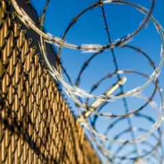 Barbed wires at border