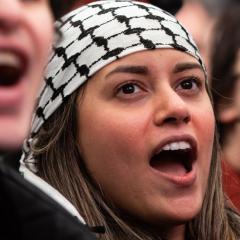 Palestine Demonstrator 