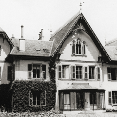 The Institut de hautes études internationales and Neoliberalism