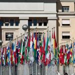 Banner International Environment