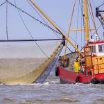 Banner-Bateau-Pêcheur