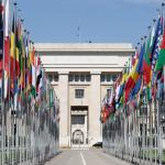 LLM in International Law