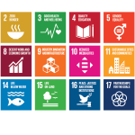 CIES_SDGs