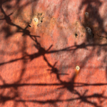 Barbed wire and rusted door