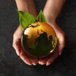 Environmental Governance & Policy-Making Q&A