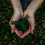 Alumni Sustainability