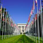 Working in an IO/NGO in Times of Crisis and Political Change