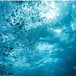 The Sea