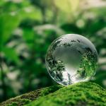 Glass earth globe among greenery