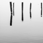 posts in sea, black and white
