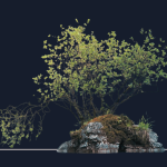 NEW HCGS Tree with Tint | Black