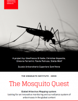 Mosquito