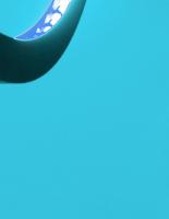 Banner IE